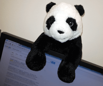 panda-4-1-update