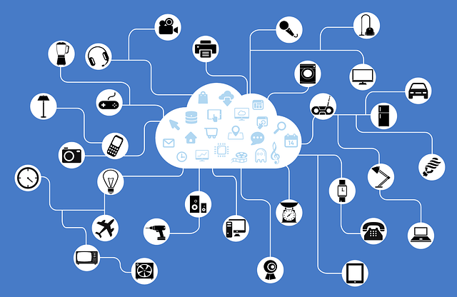 Semantisches Netzwerk